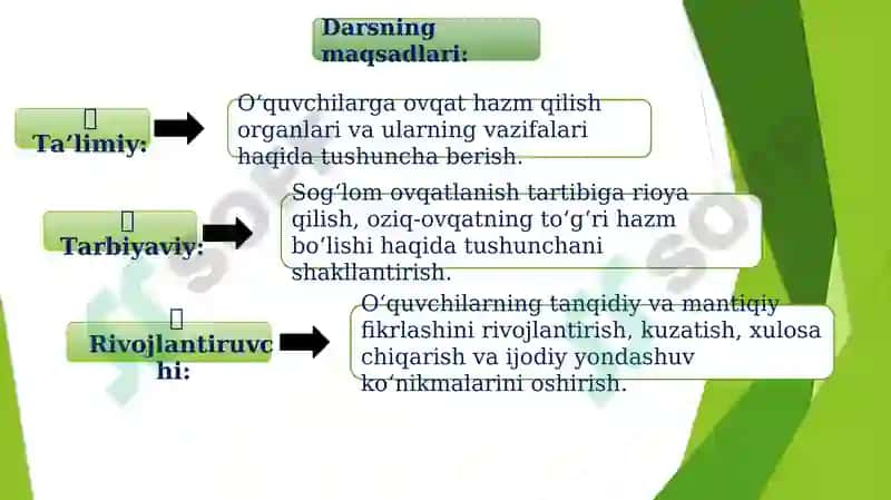 Ovqat hazm qilish organlari 2