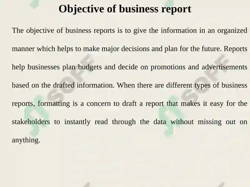Business Report 2