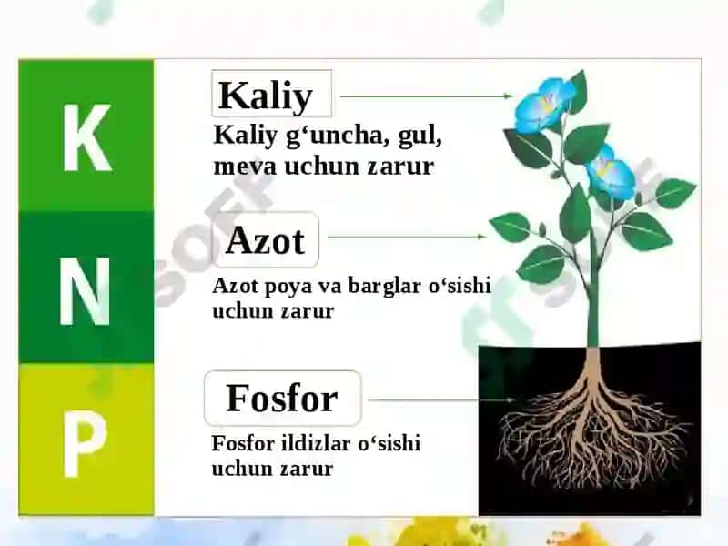 Kaliylivamurakkabo’g’itlar 2