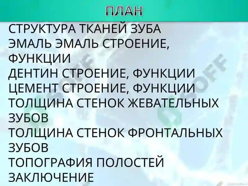 Структура тканей зуба 2