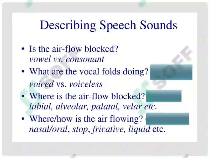THE SYSTEM OF ENGLISH consonant PHONEMES 2