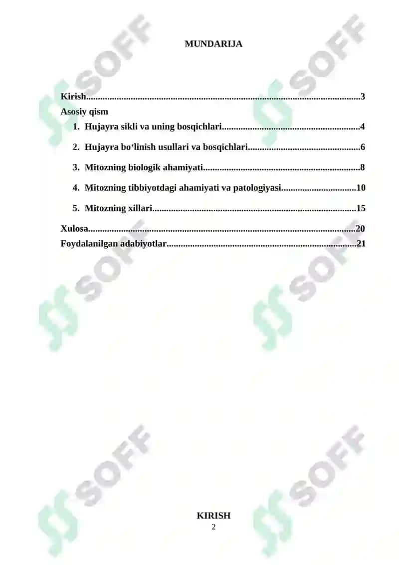 Hujayra sikli va uning davriyligi 2