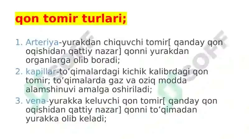 YURAK QON-TOMIR TIZIMI VAZIFASI 2