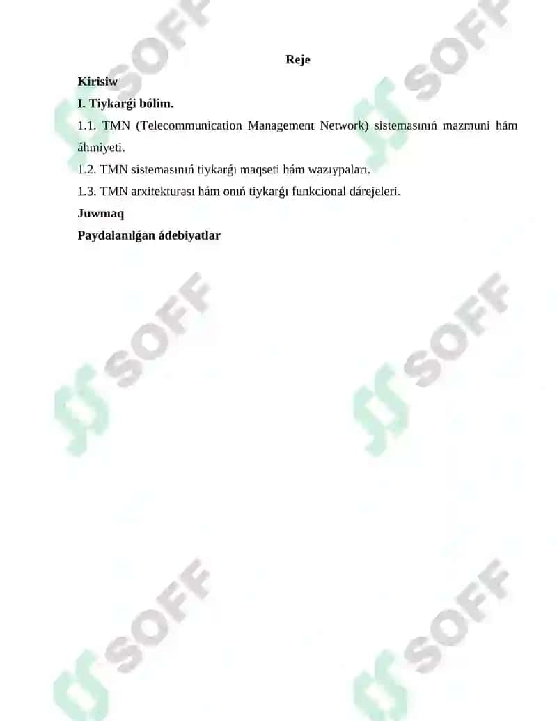 TMN (Telecommunication Management Network) sisteması 2