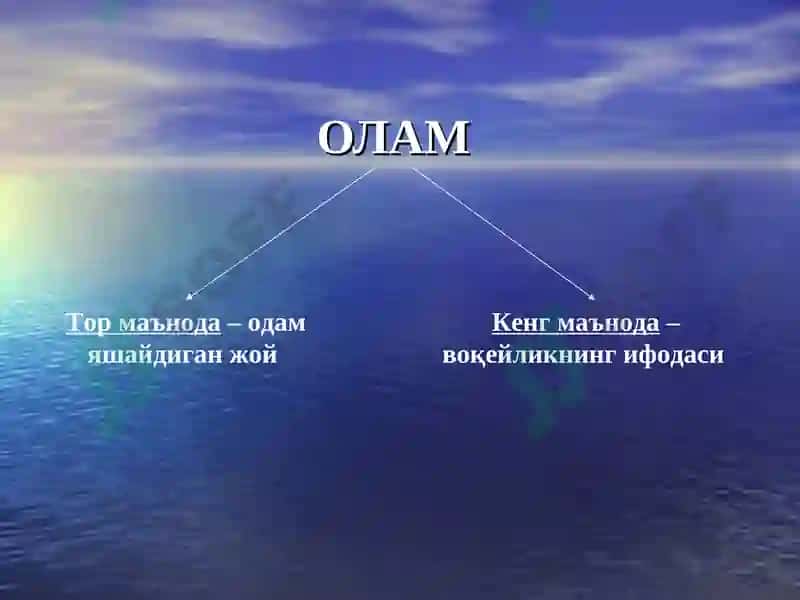 БОРЛИҚ ФАЛСАФАСИ 2