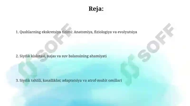 Parandalarda siydik ajralishi 2