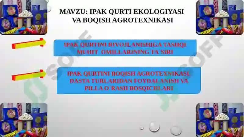IPAKQURTI EKOLOGIYASI 2