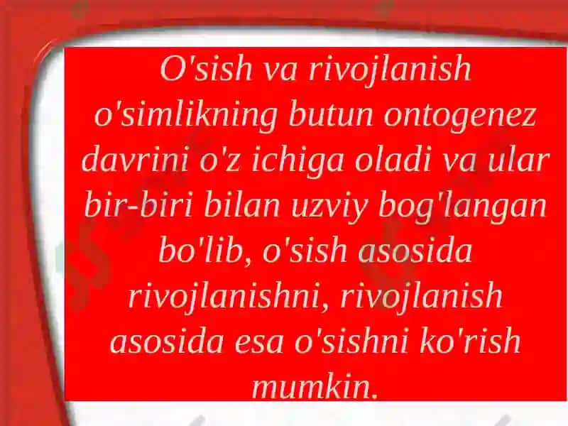 O'simliklar 2