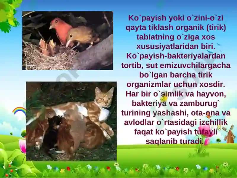 Ko’payish xillari 2