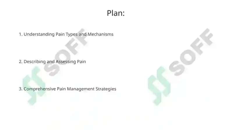 Understanding Pain: Types and Characteristics 2