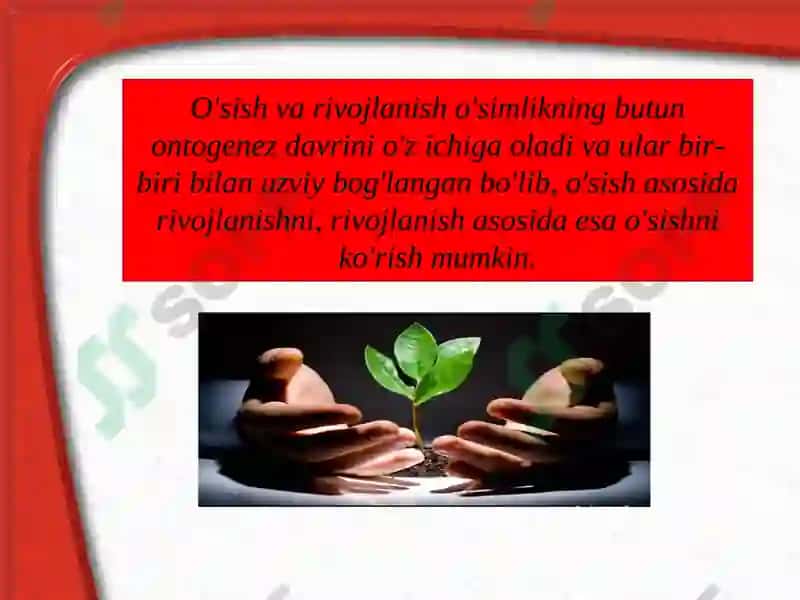 O'simliklarning o'sishi va rivojlanishi 2