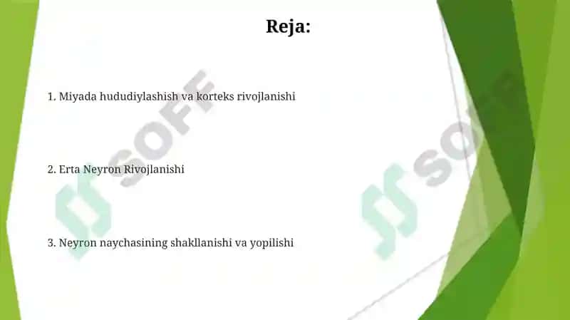 Asab tizimining rivojlanishi 2