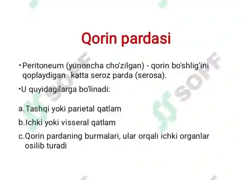 Qorin pardasi 2