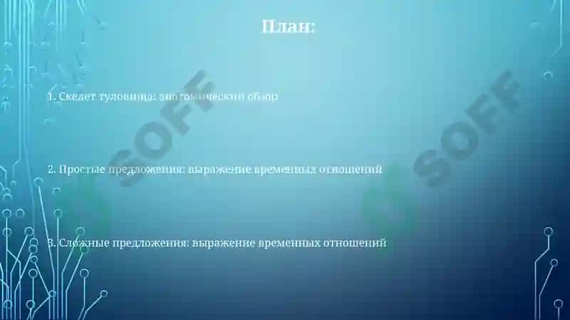 Скелет туловища: анатомический обзор 2