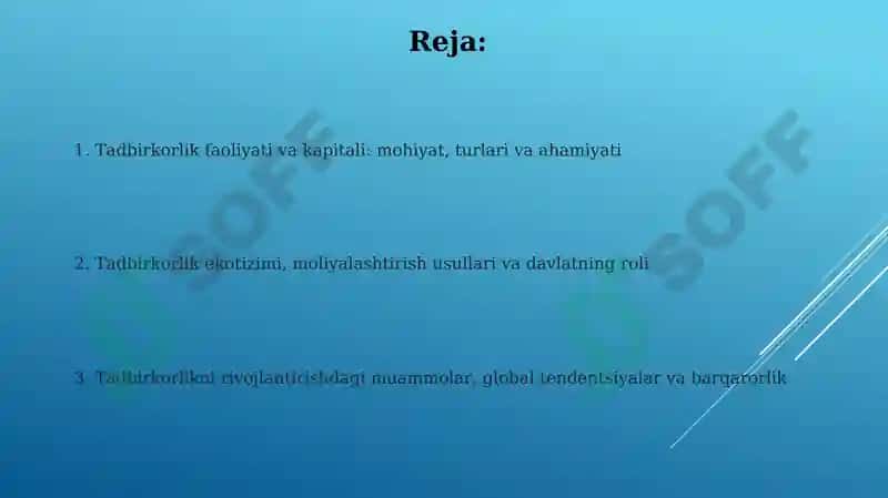Tadbirkorlik faoliyati va kapitali 2