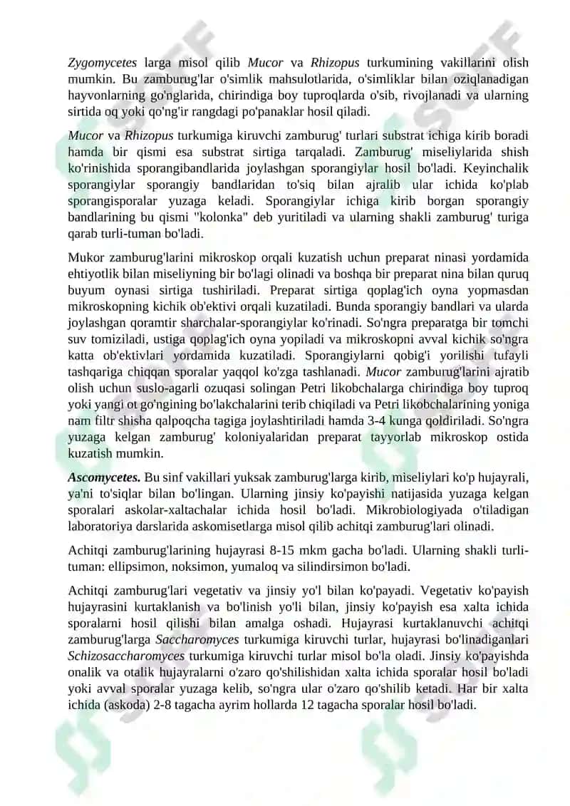 Zamburug’larning toza kulturalarini  ekish va ajratish 2