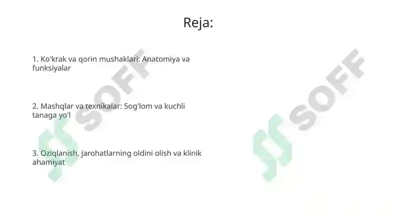 Ko'krak va Qorin Muskullari 2