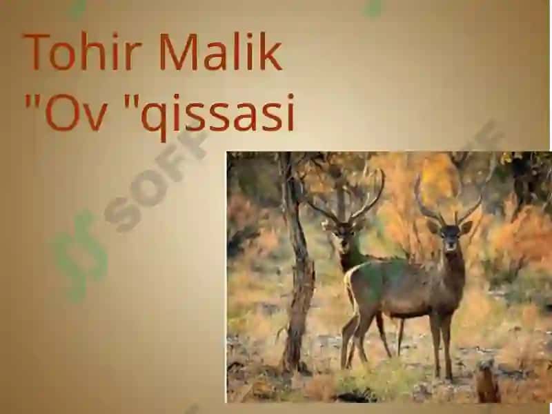 Tohir Malik 2