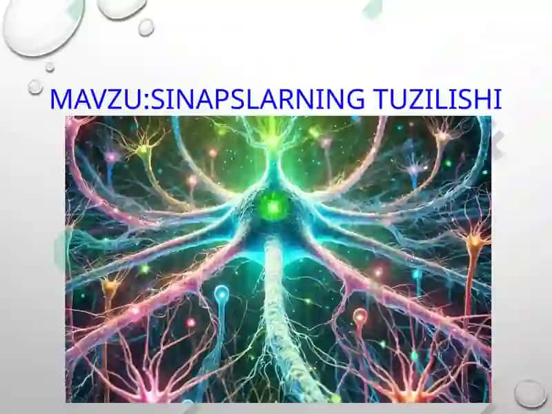 Sinapslar fiziologiyasi 2