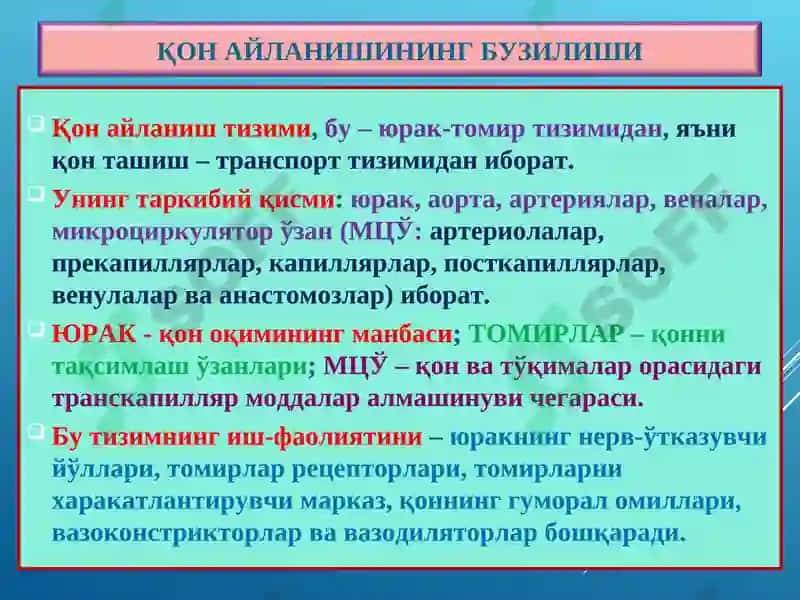 ПАТОЛОГИК АНАТОМИЯ 2