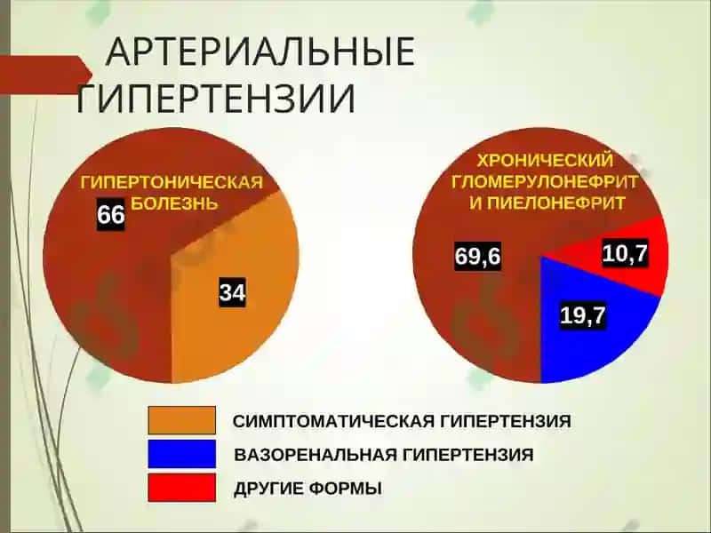 Вазоренальная гипертензия 2