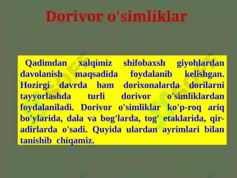 Dorivor o'simliklar 2