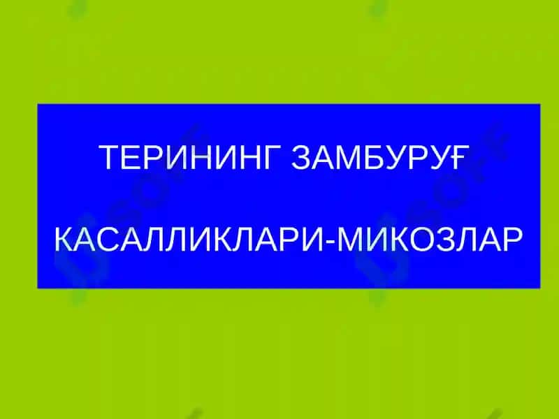 Терининг замбуруғка салликлари-микозлар 2