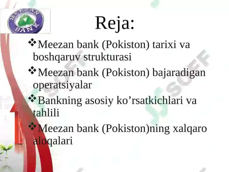 Meezanbanki(Pokiston) 2