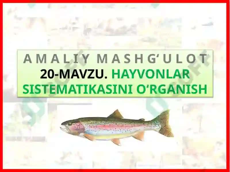 Hayvonlar Sistematikasi 2
