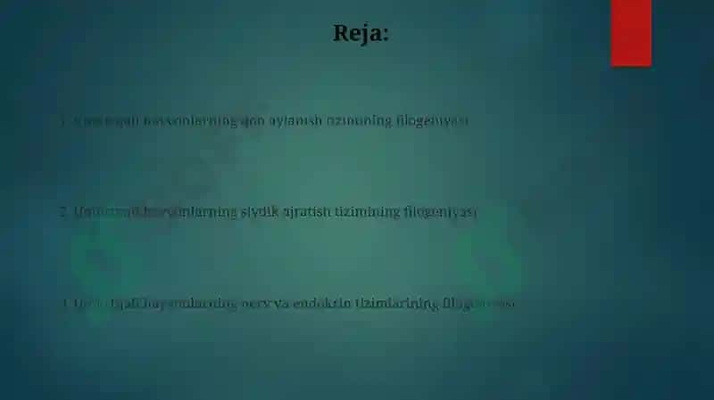 Umurtqali aʼzolar tizimi filogenezi 2
