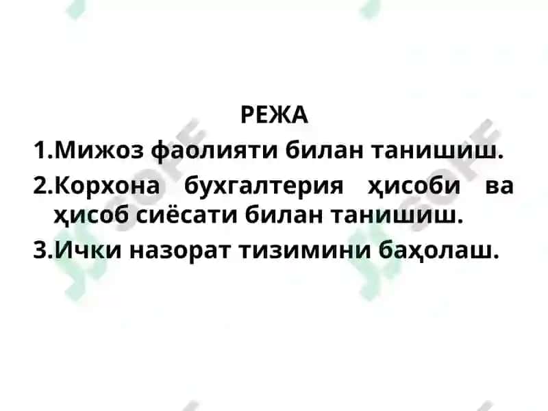 АУДИТОРЛИК ТЕКШИРУВИ 2