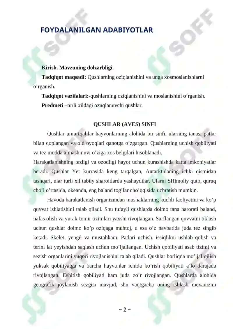 Qushlar sinfi Kurs ishi 2