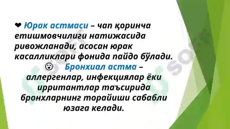 Юрак астмаси va Бронхиал астма 2