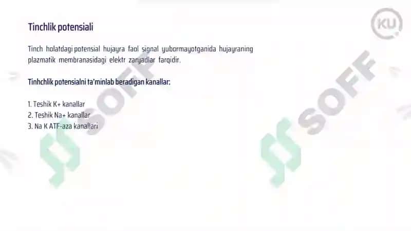 Tinchlik potensiali 2