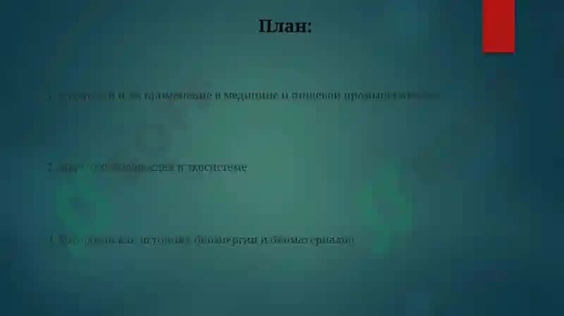 Значение водорослей 2