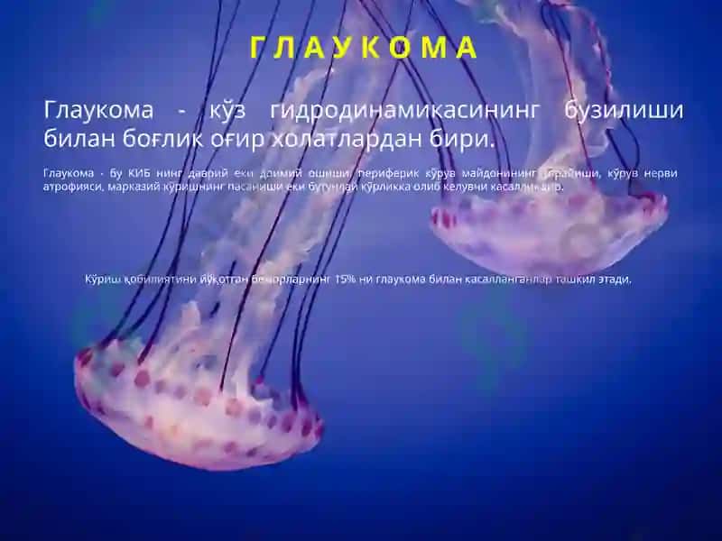 Глаукома 2