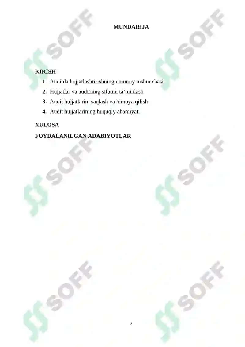 Auditda hujjatlashtirish 2