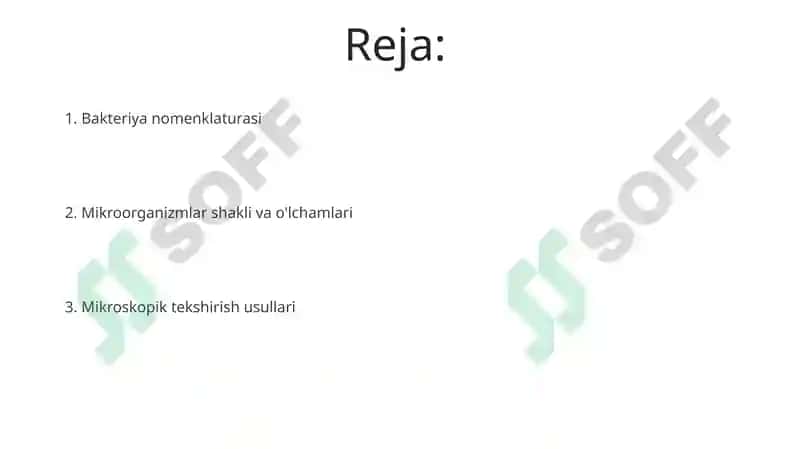 Mikroorganizmlar morfologiyasi va nomenklaturasi 2