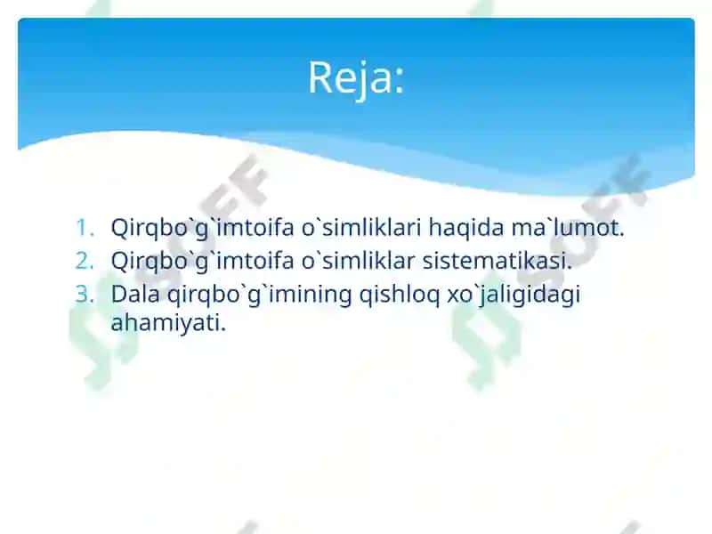 Qirqbo`g`imtoifao`simliklar 2