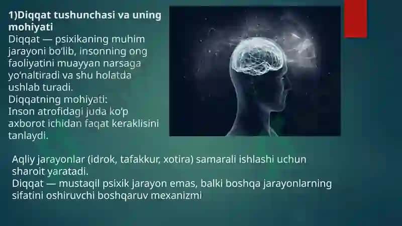Diqqat haqida prezentatsiya 2