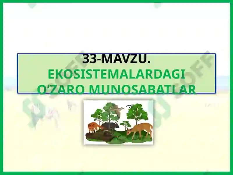 Ekosistemalardagi o‘zaromunosabatlar 2