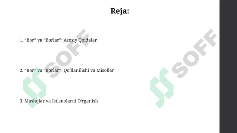"Bor" va "Borlar": Asosiy Qoidalar 2