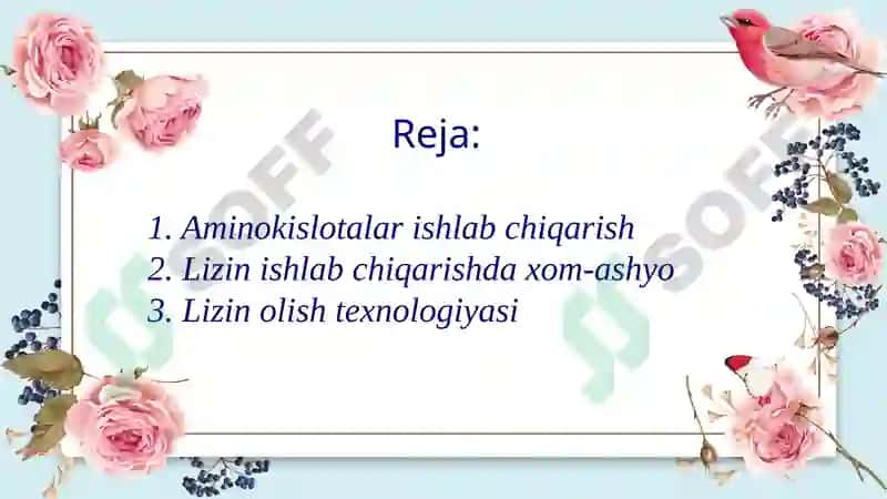 Lizinishlabchiqarishtexnologiyasi 2