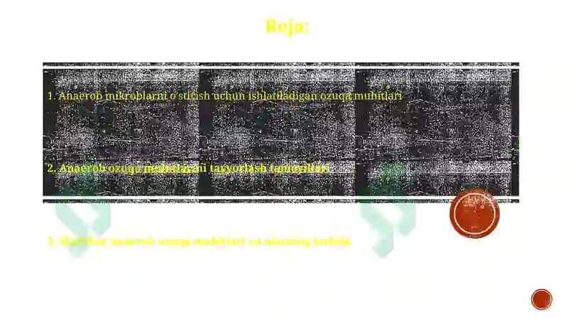 Anaerob ozuqa muhitlari 2