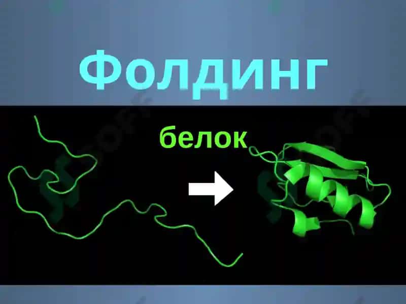 Фолдинг 2