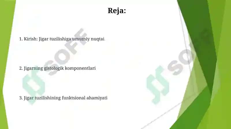 Jigar 2
