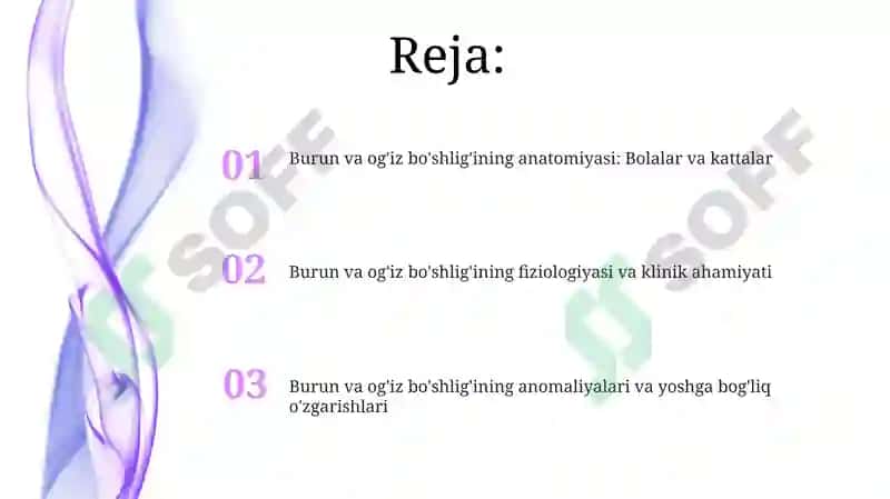 Burun va og'iz bo'shlig'ining anatomiyasi 2