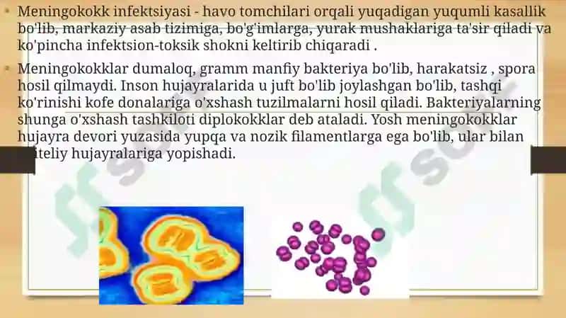 Meningokokkliinfektsiyasi(meningokokk) 2