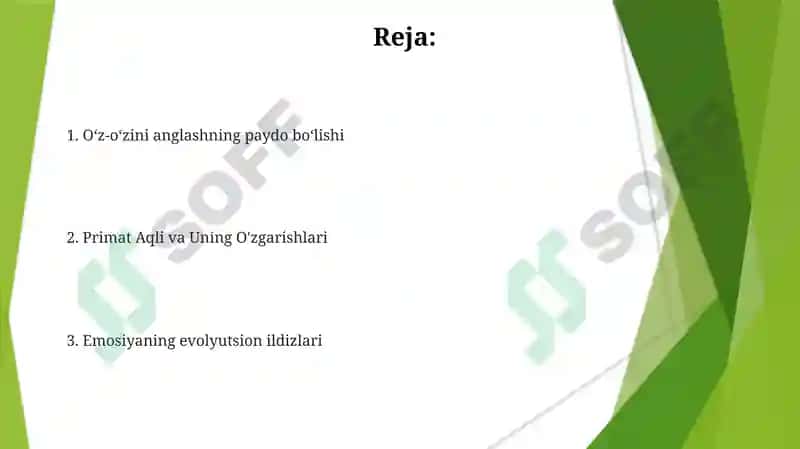 Psixikaning filogenetik taraqqiyoti 2