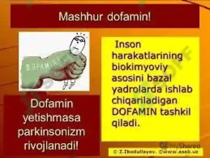 Dofaminva dofaminergik vositalar 2